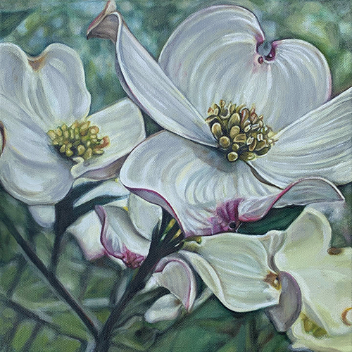 New Dogwood Blossom Canvas Art Print by Michele Wortman
